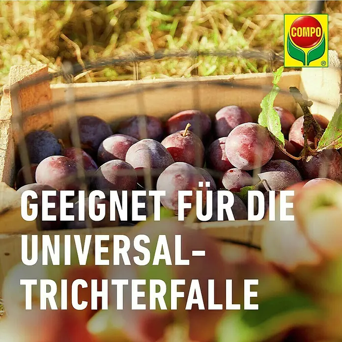 Compo Bio Pflaumenwickler-Lockstoff - 3 Stk. - Reife Pflaumen in einer Holzkiste, geeignet für die Universal-Trichterfalle.
