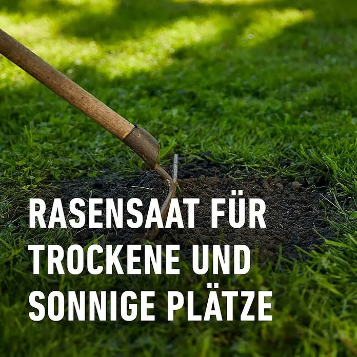Compo Saat Rasensamen Trockenrasen - 2 kg, 80 m² - Eine Gartenharke mit Holzgriff liegt in dunkler Erde.
