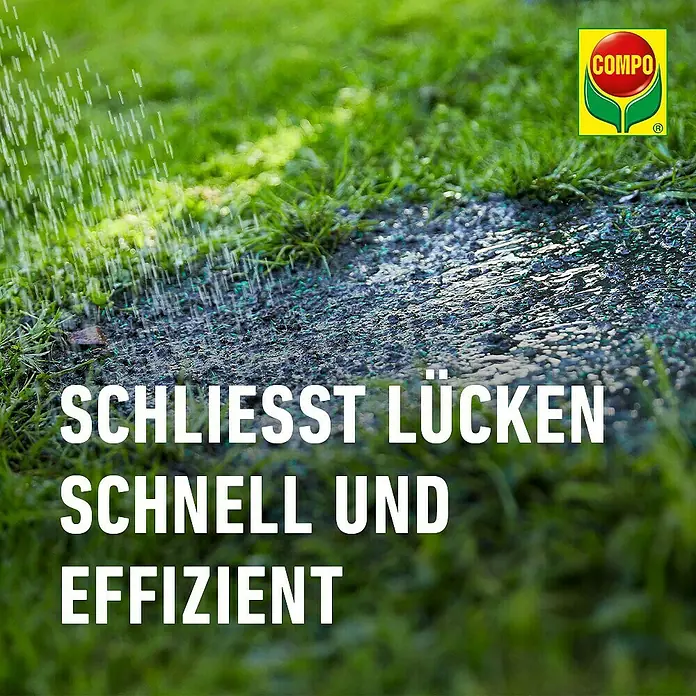Compo Saat Rasensamen Reparatur-Mix - 1,2 kg, 50 m² - Compo Rasenreparaturgranulat auf kahlem Boden wird bewässert, für schnelle und effiziente Lückenschließung.