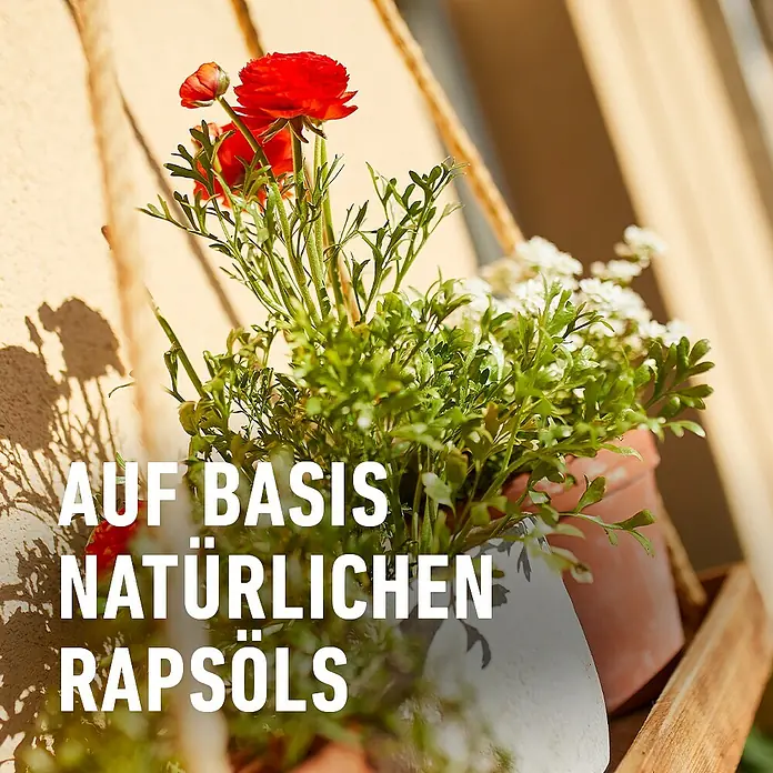 Compo Schdlingsfrei Grn- und Blhpflanzen AF - 750 ml online kaufen bei  BAUHAUS