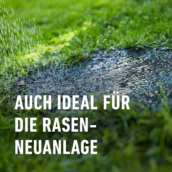 Compo Saat Rasensamen Trockenrasen - 2 kg, 80 m² - Bewässerung einer Rasen-Neuanlage mit sichtbaren grünen Granulaten auf dem Boden.