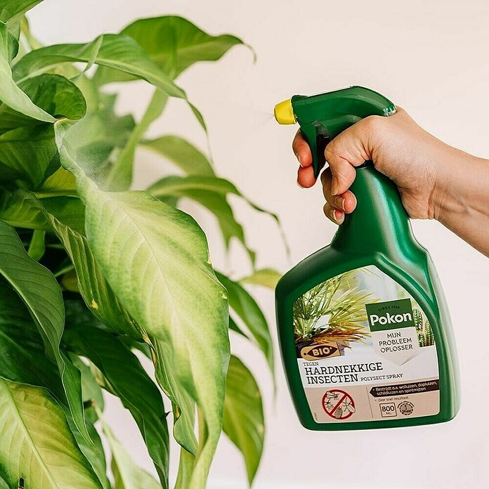 Pokon Insectenspray (800 ml) | BAUHAUS