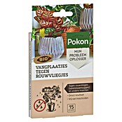 Pokon Vliegenvangers (Totaal aantal stuks: 15 st.) | BAUHAUS
