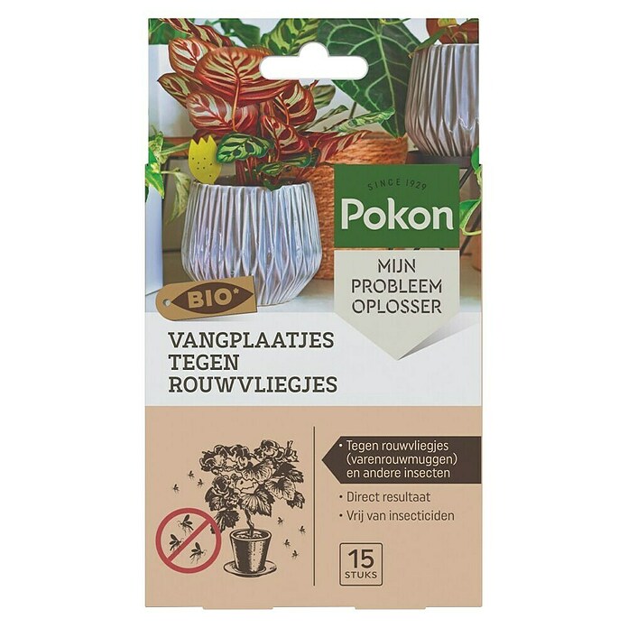 Pokon Vliegenvangers (Totaal aantal stuks: 15 st.) | BAUHAUS