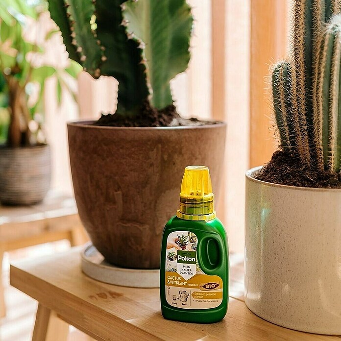 Pokon Cactusmest (250 ml) | BAUHAUS