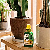 Pokon Cactusmest (250 ml) | BAUHAUS