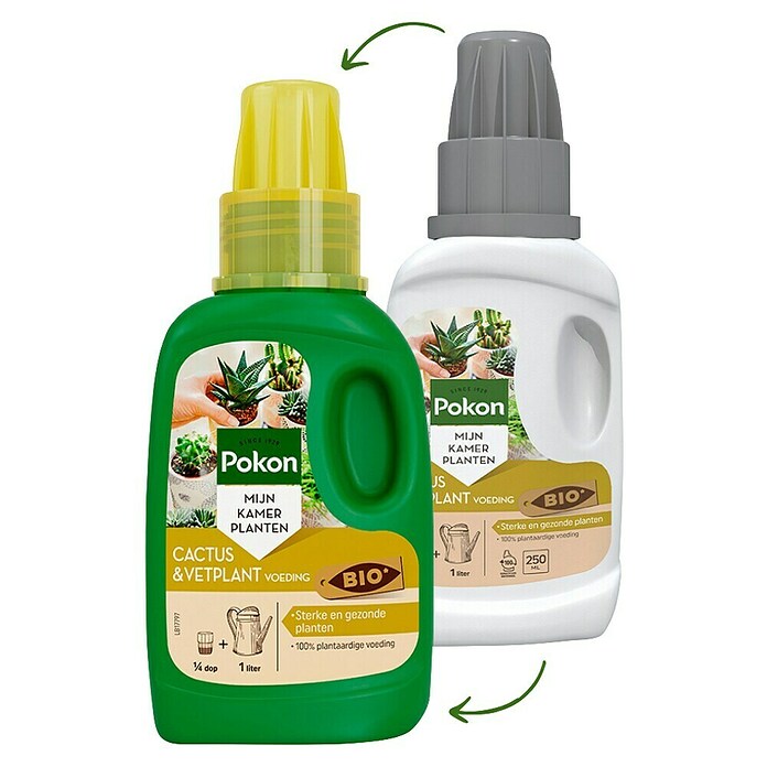 Pokon Cactusmest (250 ml) | BAUHAUS