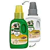 Pokon Cactusmest (250 ml) | BAUHAUS