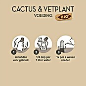 Pokon Cactusmest (250 ml) | BAUHAUS