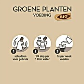 Pokon Voeding voor groene planten (500 ml) | BAUHAUS