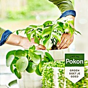 Pokon Voeding voor groene planten (500 ml) | BAUHAUS