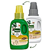 Pokon Bonsaimest (250 ml) | BAUHAUS