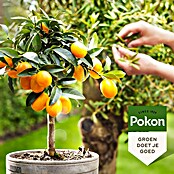Pokon Mediterrane plantenmest (500 ml) | BAUHAUS