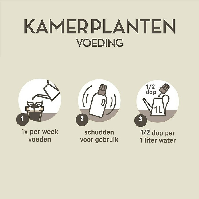 Pokon Kamerplanten Voeding (500 ml) | BAUHAUS