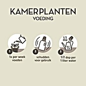 Pokon Kamerplanten Voeding (500 ml) | BAUHAUS