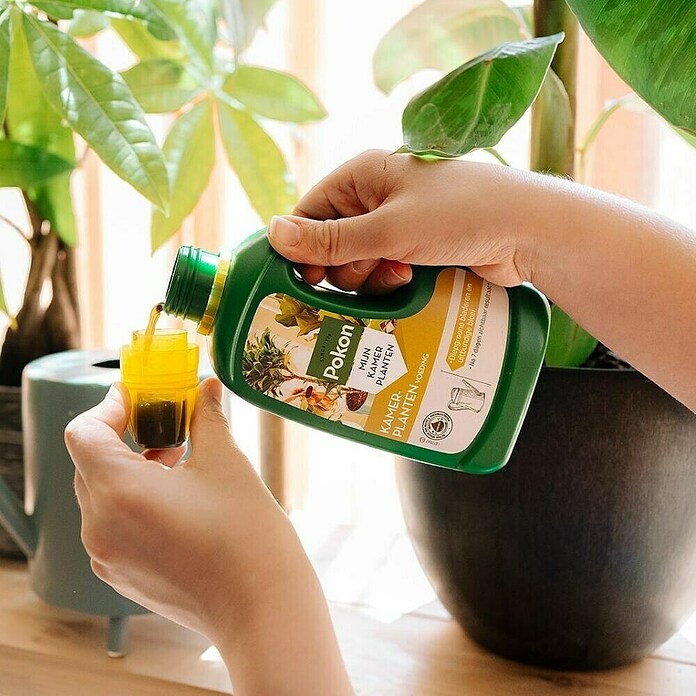 Pokon Kamerplanten Voeding (500 ml) | BAUHAUS