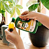 Pokon Kamerplanten Voeding (500 ml) | BAUHAUS