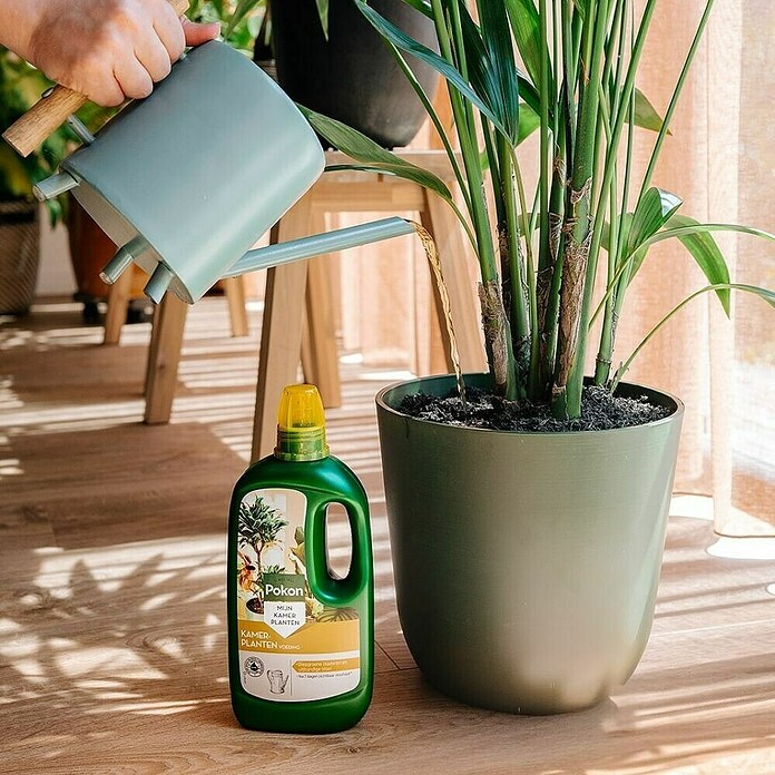 Pokon Kamerplanten Voeding (1 l) | BAUHAUS