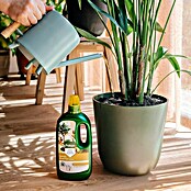 Pokon Kamerplanten Voeding (1 l) | BAUHAUS
