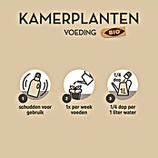 Pokon Kamerplanten Voeding (250 ml) | BAUHAUS