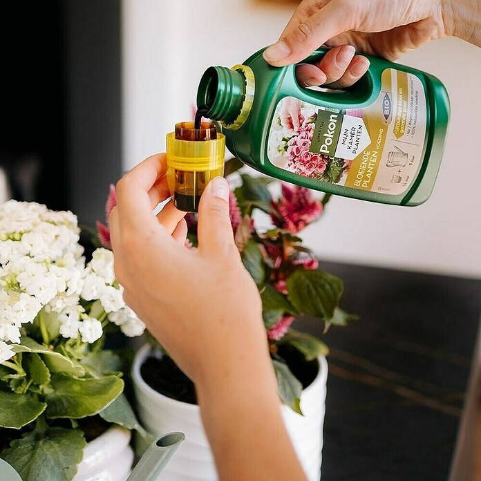 Pokon Meststof voor bloeiende planten (500 ml) | BAUHAUS