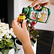 Pokon Meststof voor bloeiende planten (500 ml) | BAUHAUS