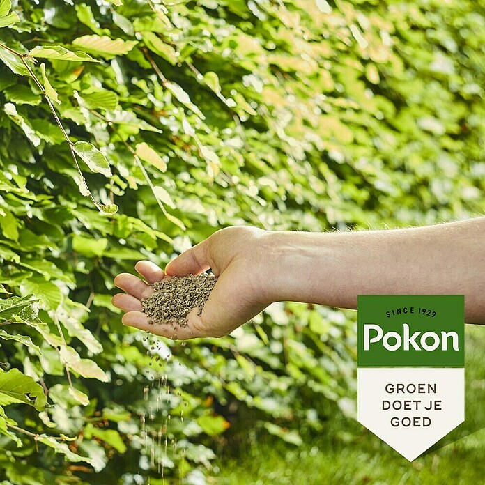 Pokon Buxus- en hagenmest (10 kg) | BAUHAUS