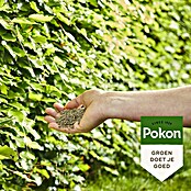 Pokon Buxus- en hagenmest (10 kg) | BAUHAUS