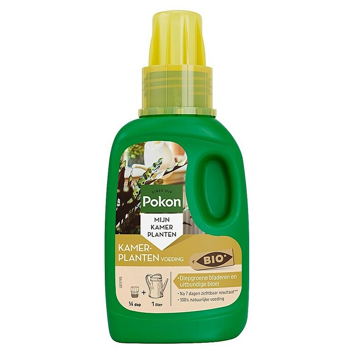 Pokon Kamerplanten Voeding (250 ml) | BAUHAUS
