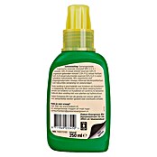 Pokon Kamerplanten Voeding (250 ml) | BAUHAUS