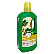 Pokon Kamerplanten Voeding (1 l) | BAUHAUS