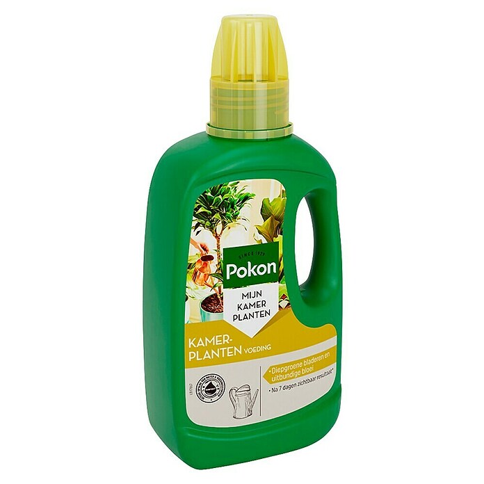 Pokon Kamerplanten Voeding (500 ml) | BAUHAUS