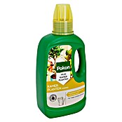 Pokon Kamerplanten Voeding (500 ml) | BAUHAUS
