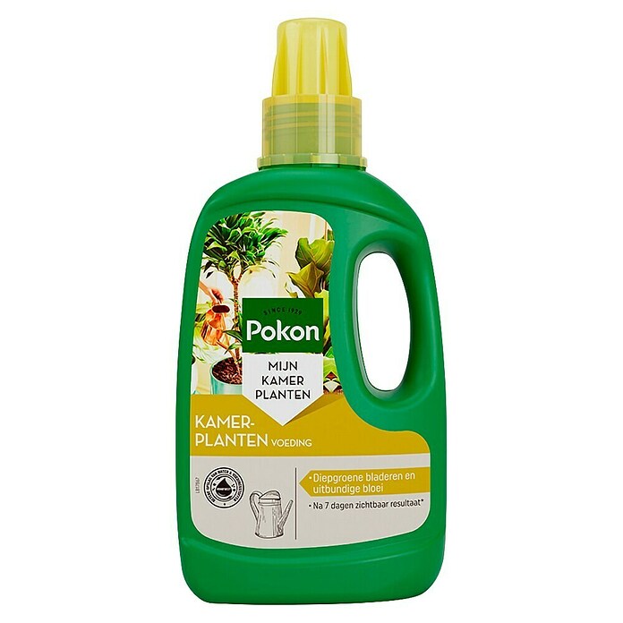 Pokon Kamerplanten Voeding (500 ml) | BAUHAUS