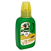 Pokon Cactusmest (250 ml) | BAUHAUS