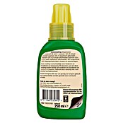 Pokon Cactusmest (250 ml) | BAUHAUS