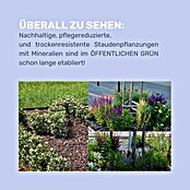 Min2C Mulch Mineralisch (Gelb, Körnung: 8 mm - 16 mm, 25 kg) | BAUHAUS