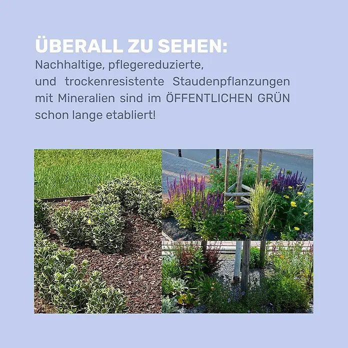 Min2C Mulch Mineralisch - Hell, Körnung: 8 mm - 16 mm, 25 kg - Beispiele für nachhaltige, pflegereduzierte und trockenresistente Staudenpflanzungen mit Mineralmulch im öffentlichen Grün.