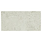 Cersanit Porculanska pločica Newstone  (59,8 x 29,8 cm, Bijela, Mat) | BAUHAUS