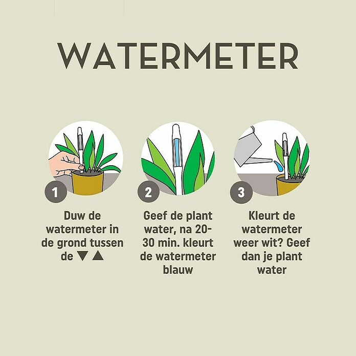 Pokon Waterstandmeter (Geeft aan wanneer je plant water nodig heeft) | BAUHAUS