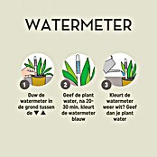 Pokon Waterstandmeter (Geeft aan wanneer je plant water nodig heeft) | BAUHAUS