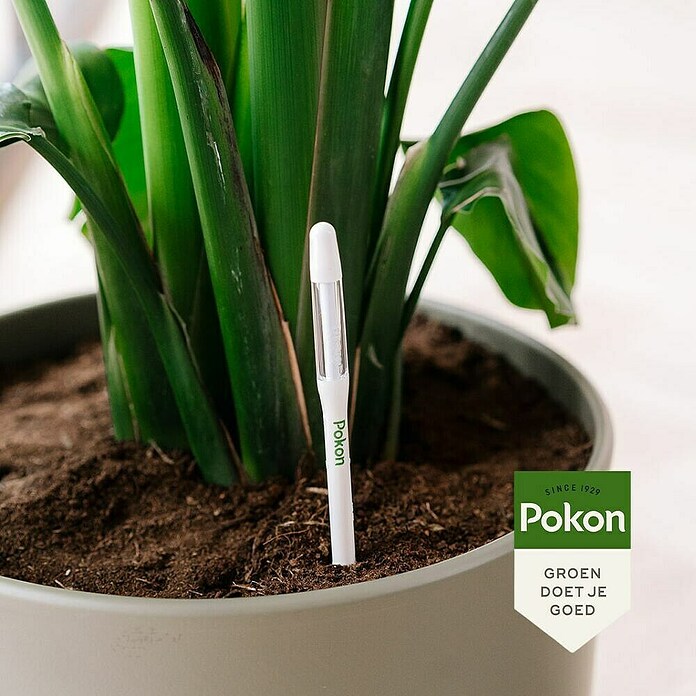 Pokon Waterstandmeter (Geeft aan wanneer je plant water nodig heeft) | BAUHAUS