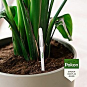 Pokon Waterstandmeter (Geeft aan wanneer je plant water nodig heeft) | BAUHAUS