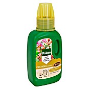Pokon Orchideeënvoeding (250 ml) | BAUHAUS
