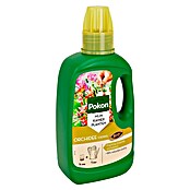 Pokon Orchideeënvoeding (500 ml) | BAUHAUS