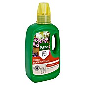 Pokon Voeding voor balkon- en kuipplanten (500 ml) | BAUHAUS