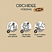 Pokon Orchideeënvoeding (250 ml) | BAUHAUS
