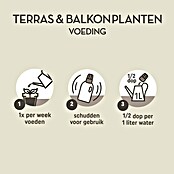 Pokon Voeding voor balkon- en kuipplanten (1 l) | BAUHAUS