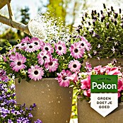 Pokon Voeding voor balkon- en kuipplanten (1 l) | BAUHAUS