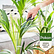Pokon Plantenvoeding (250 ml) | BAUHAUS